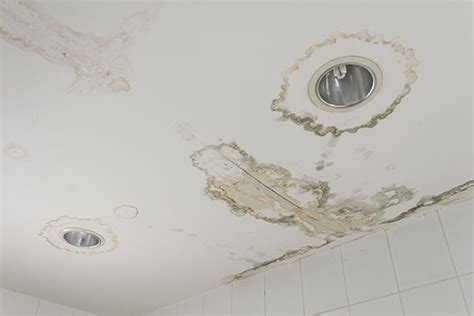 water damage apartment ceiling|How to Handle Your Apartment Ceiling Leak 